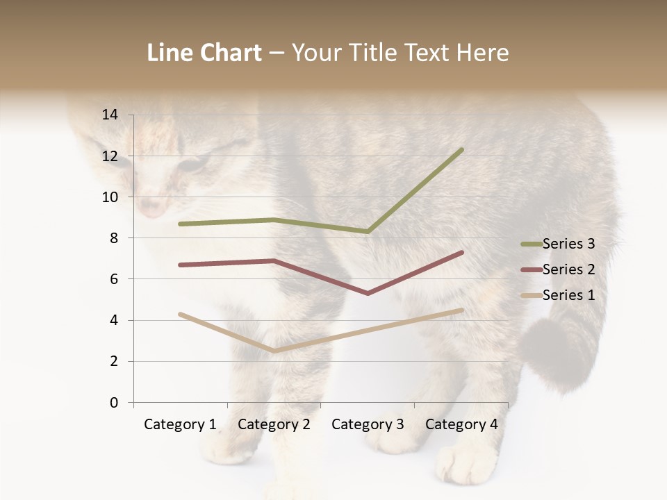 Grooming Smoke Sleep PowerPoint Template