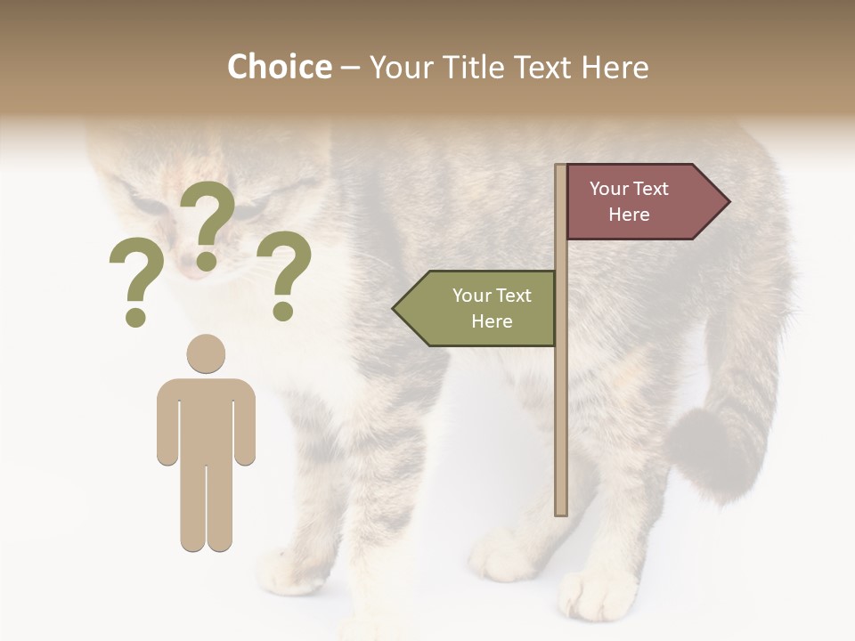 Grooming Smoke Sleep PowerPoint Template