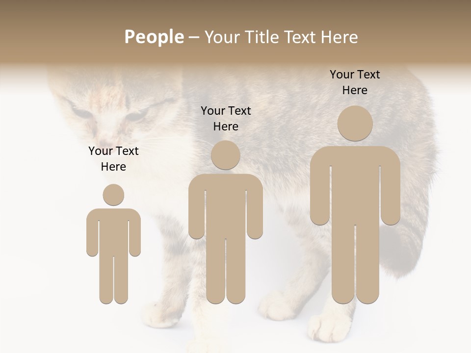 Grooming Smoke Sleep PowerPoint Template