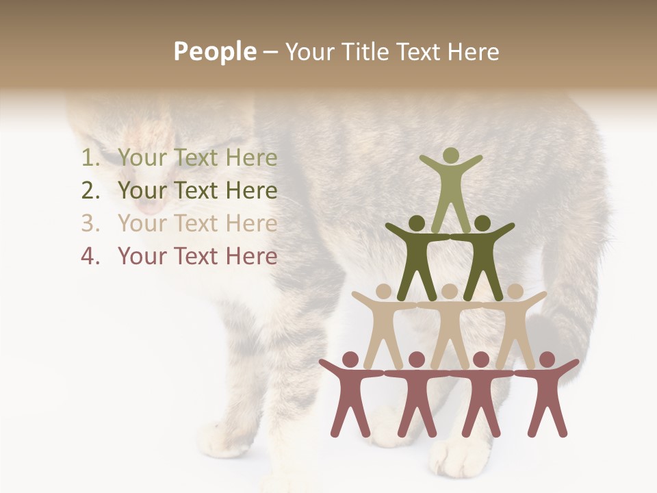 Grooming Smoke Sleep PowerPoint Template