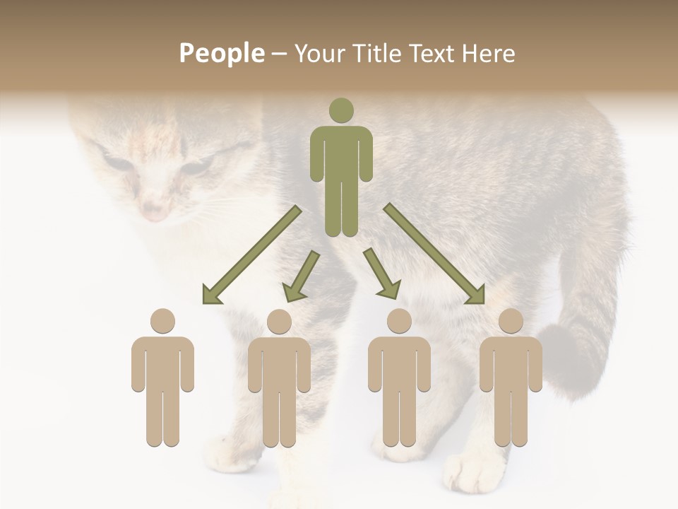 Grooming Smoke Sleep PowerPoint Template