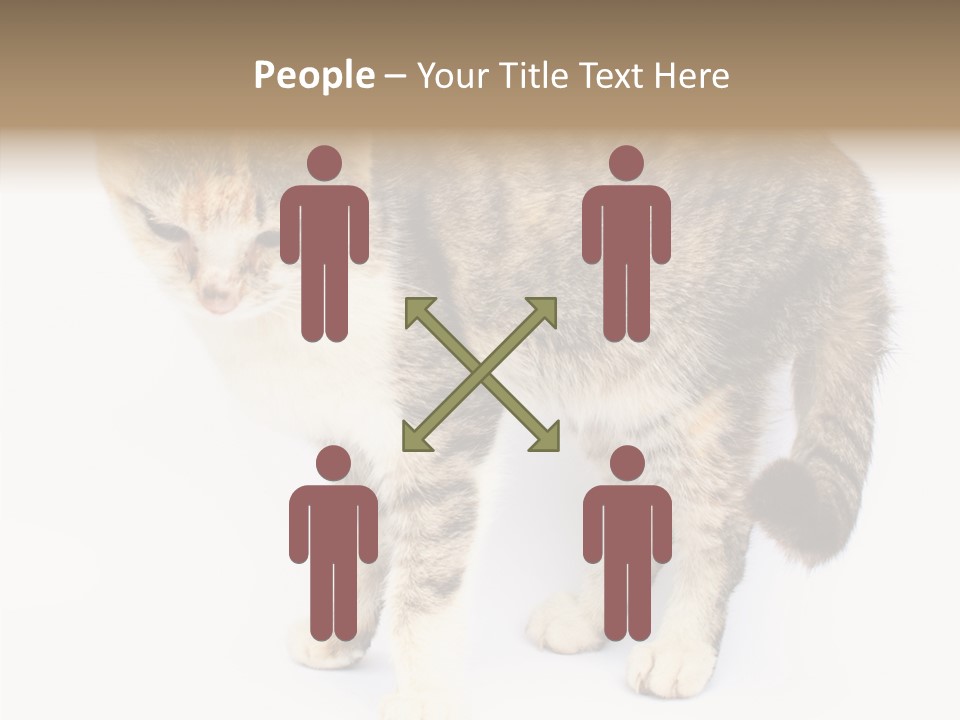 Grooming Smoke Sleep PowerPoint Template