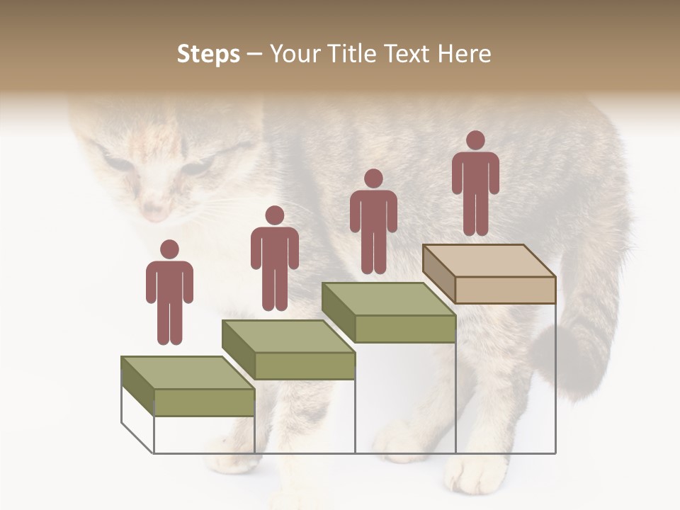 Grooming Smoke Sleep PowerPoint Template