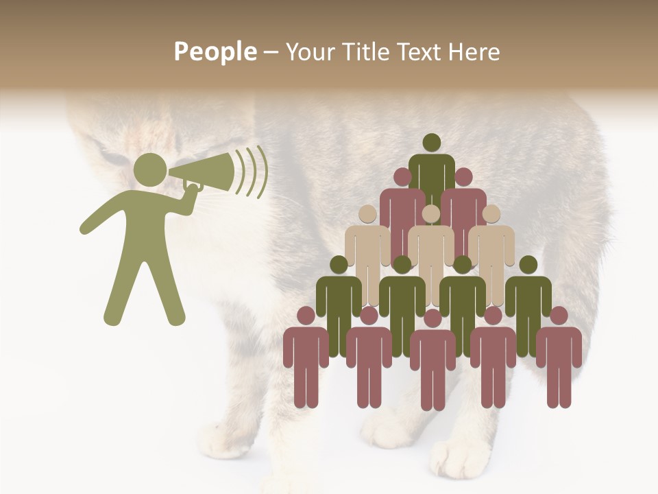 Grooming Smoke Sleep PowerPoint Template