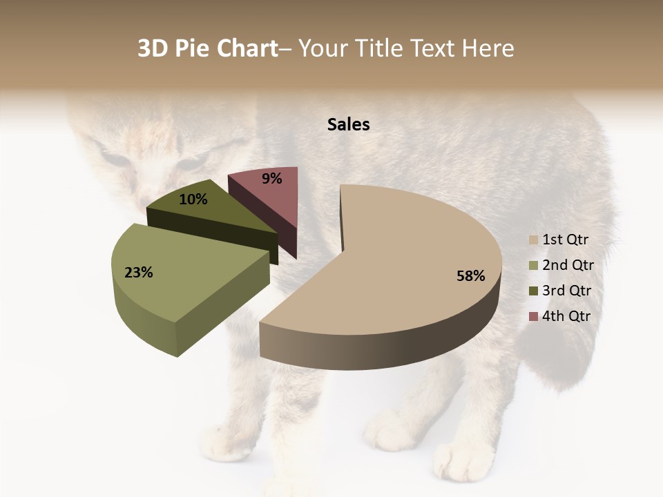 Grooming Smoke Sleep PowerPoint Template