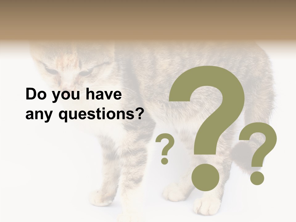 Grooming Smoke Sleep PowerPoint Template