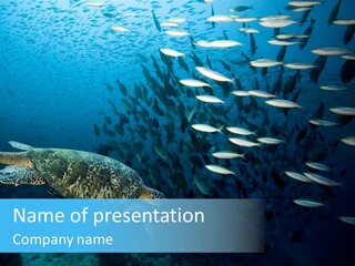 Reptile Tropic Moving PowerPoint Template