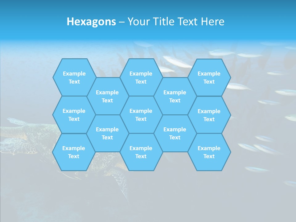 Reptile Tropic Moving PowerPoint Template