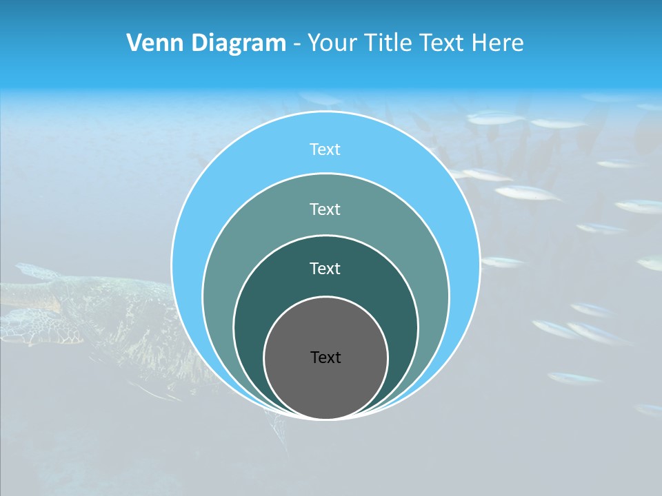 Reptile Tropic Moving PowerPoint Template