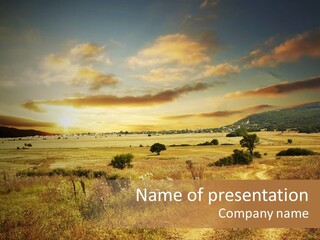 Meadow Landscapes Evening PowerPoint Template