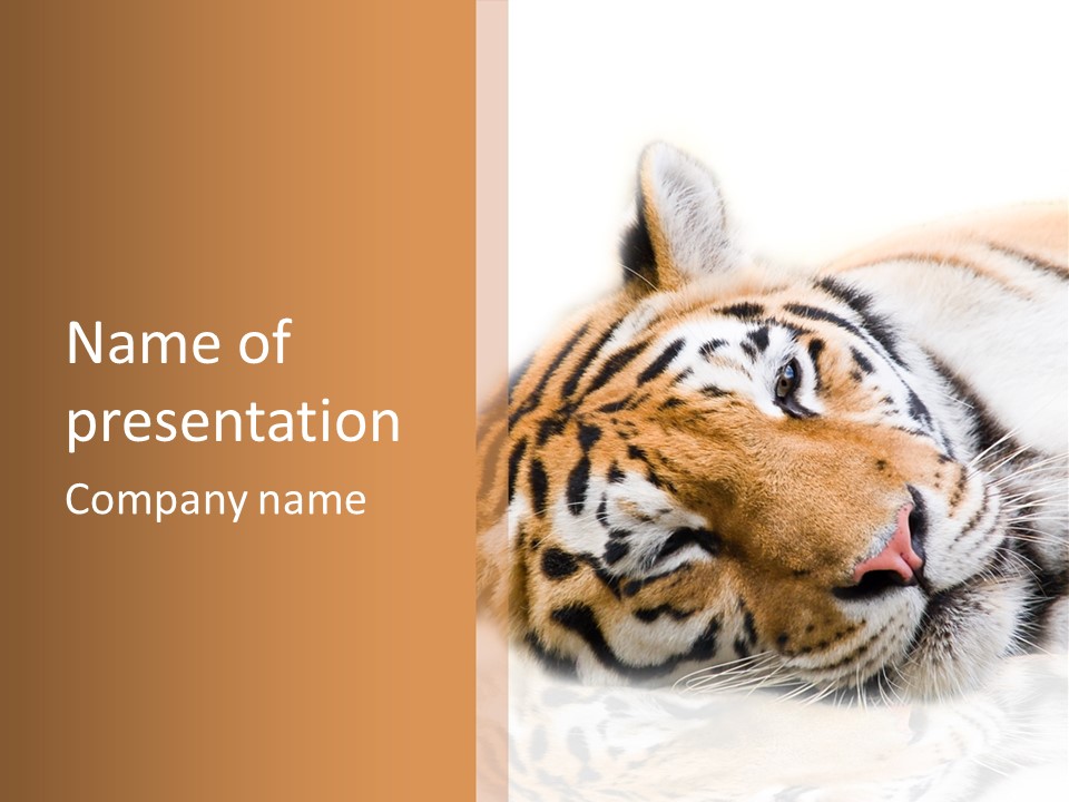 Striped Carnivore Big PowerPoint Template