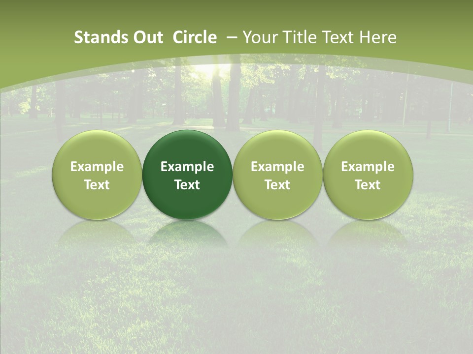 Beautiful Park Casting PowerPoint Template