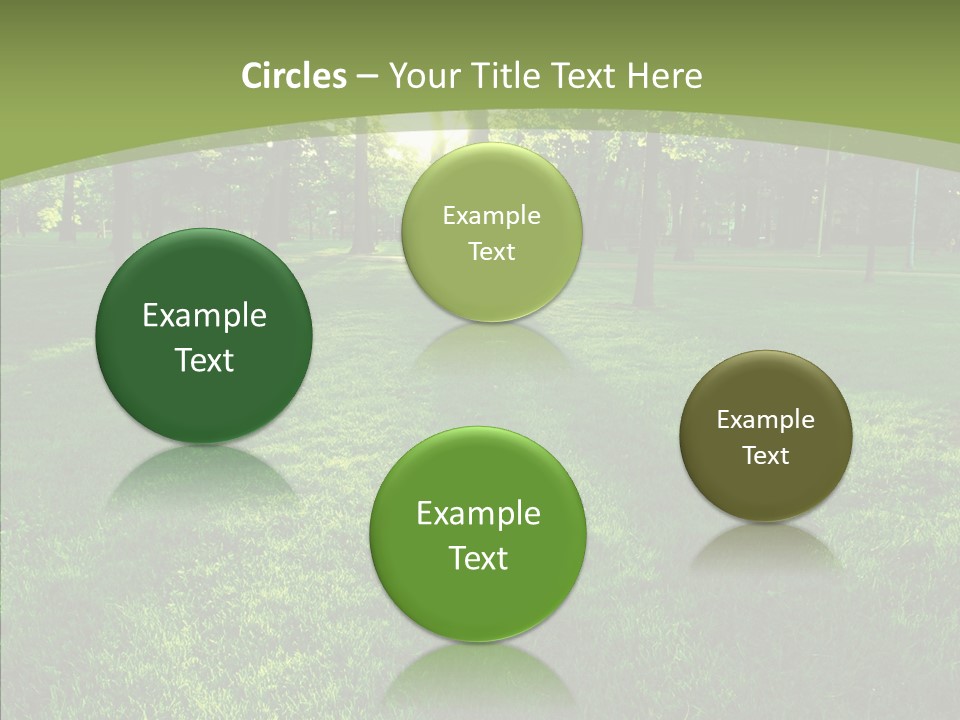 Beautiful Park Casting PowerPoint Template