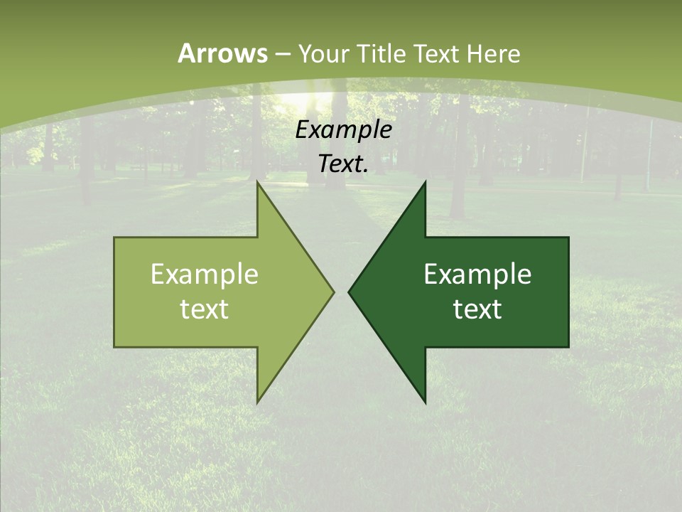 Beautiful Park Casting PowerPoint Template