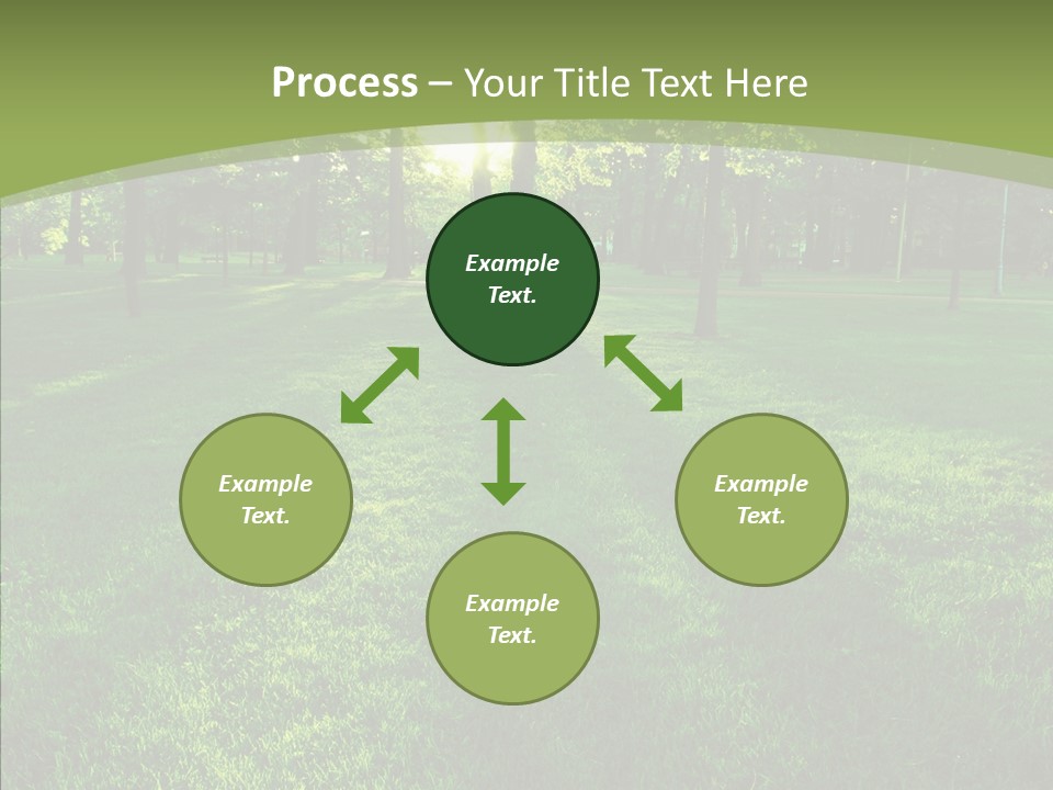 Beautiful Park Casting PowerPoint Template