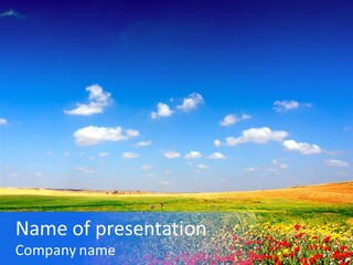 Poppy Spring Wheat PowerPoint Template