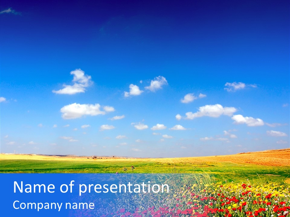 Poppy Spring Wheat PowerPoint Template