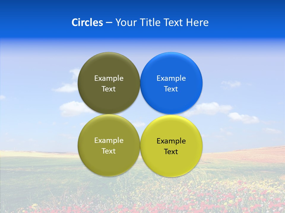 Poppy Spring Wheat PowerPoint Template