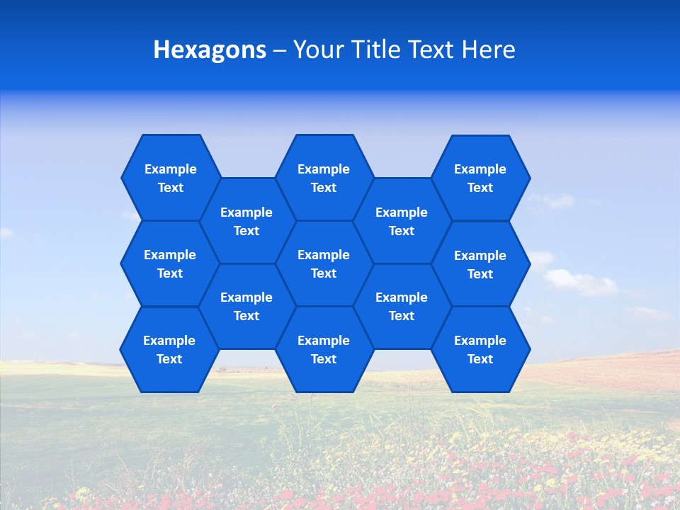 Poppy Spring Wheat PowerPoint Template