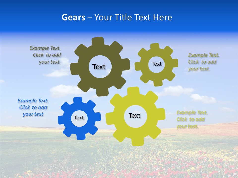 Poppy Spring Wheat PowerPoint Template