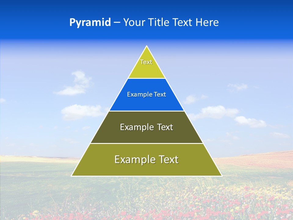 Poppy Spring Wheat PowerPoint Template