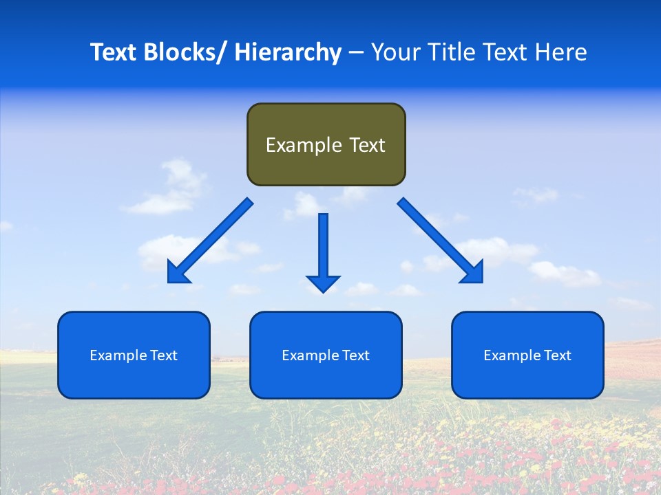 Poppy Spring Wheat PowerPoint Template