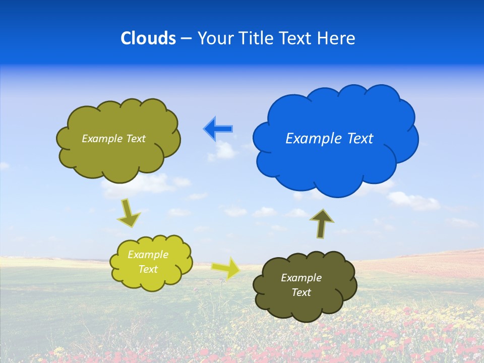 Poppy Spring Wheat PowerPoint Template
