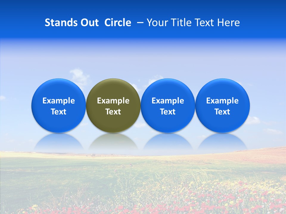 Poppy Spring Wheat PowerPoint Template