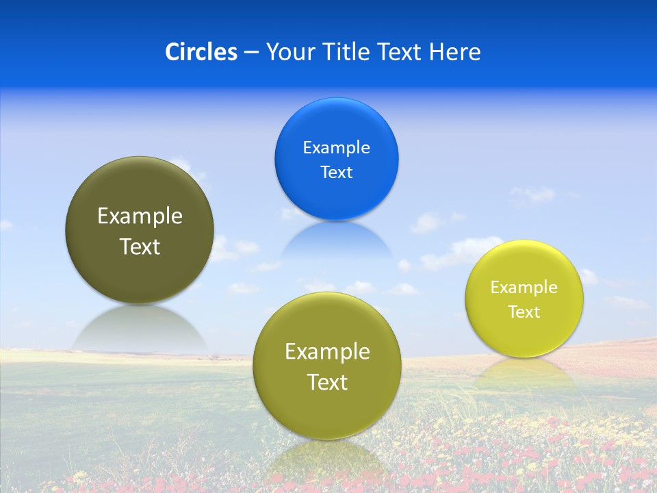 Poppy Spring Wheat PowerPoint Template