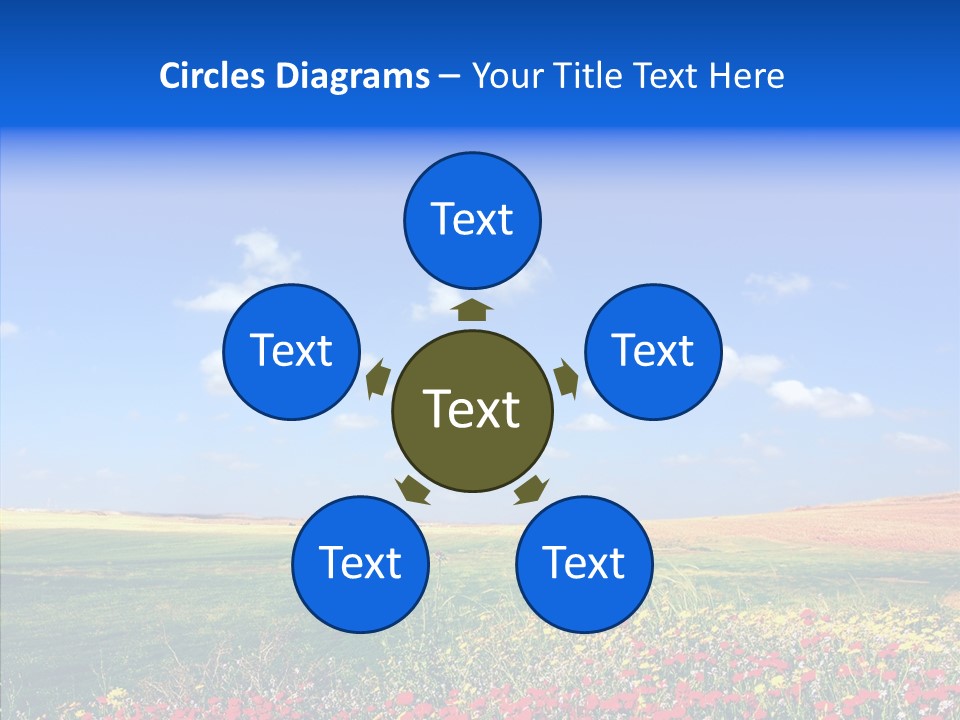 Poppy Spring Wheat PowerPoint Template