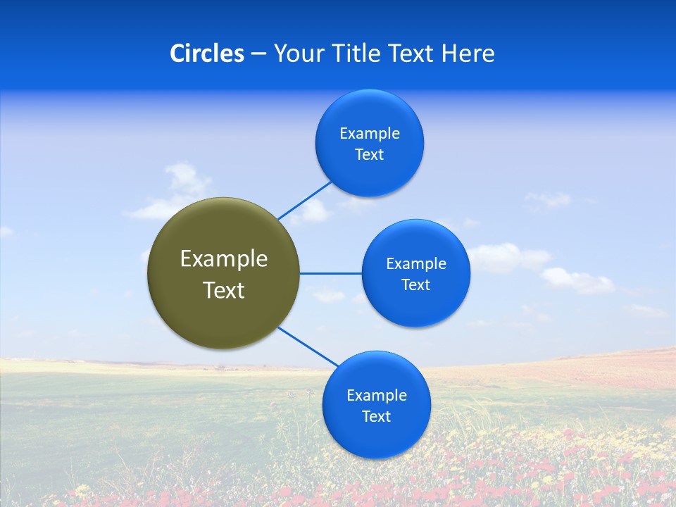 Poppy Spring Wheat PowerPoint Template