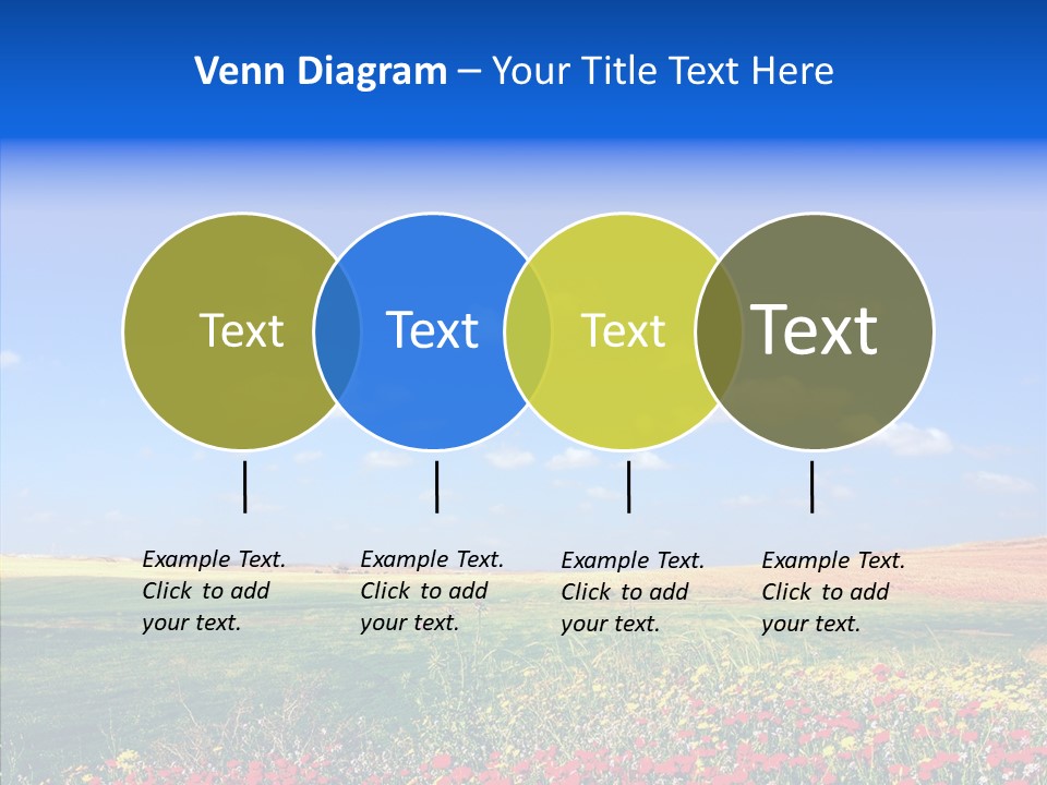 Poppy Spring Wheat PowerPoint Template