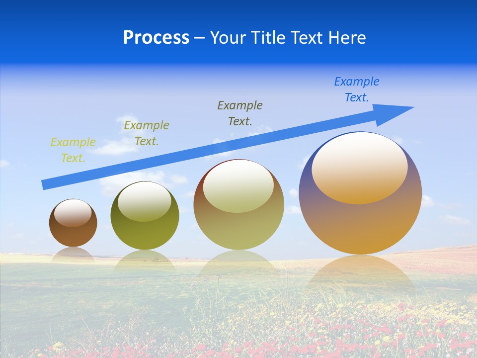 Poppy Spring Wheat PowerPoint Template