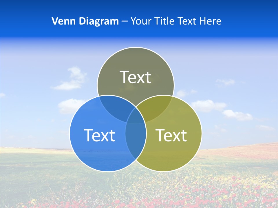Poppy Spring Wheat PowerPoint Template