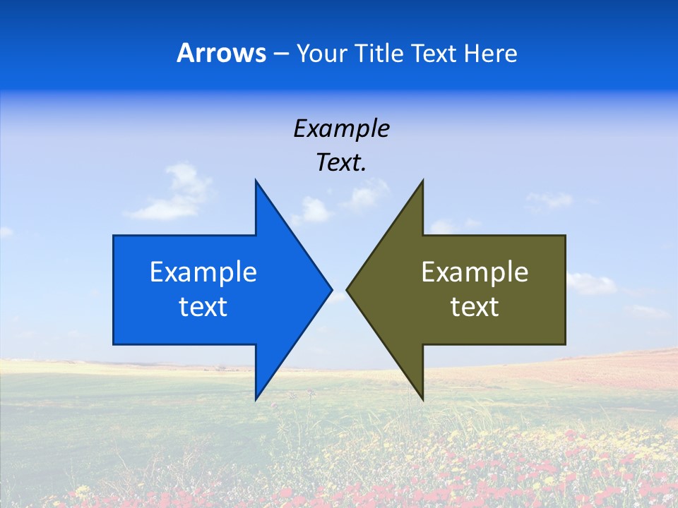 Poppy Spring Wheat PowerPoint Template