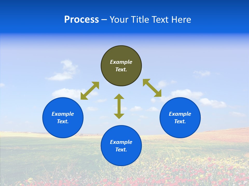 Poppy Spring Wheat PowerPoint Template