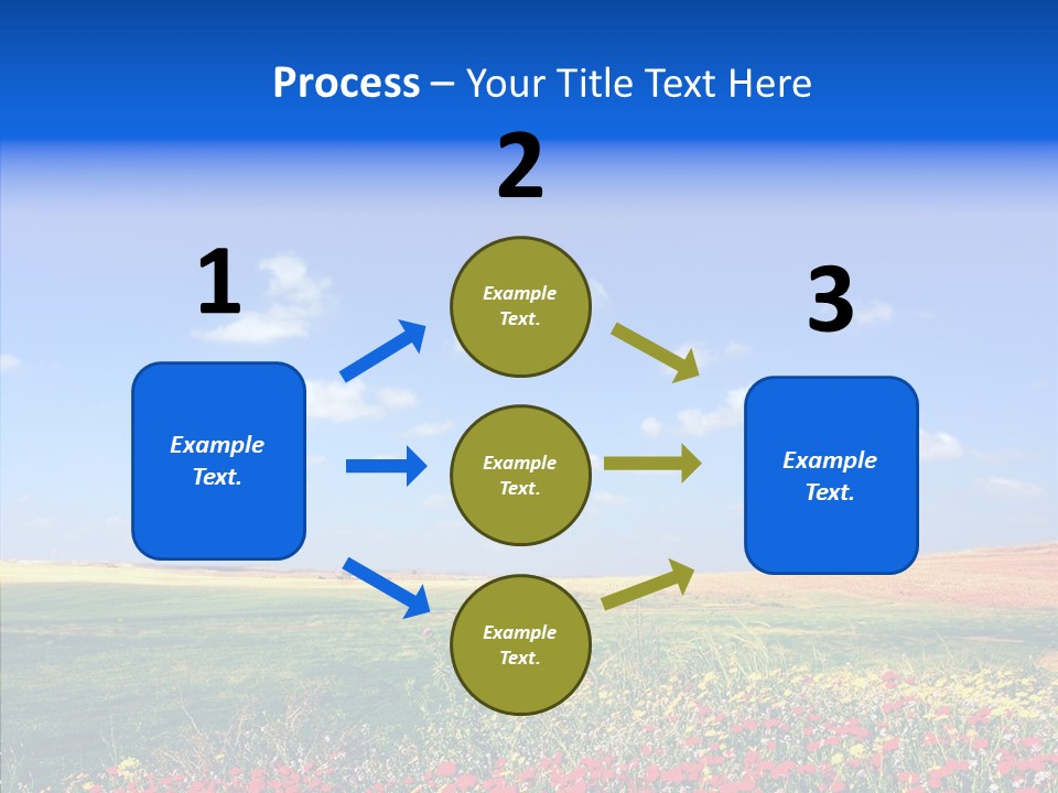 Poppy Spring Wheat PowerPoint Template