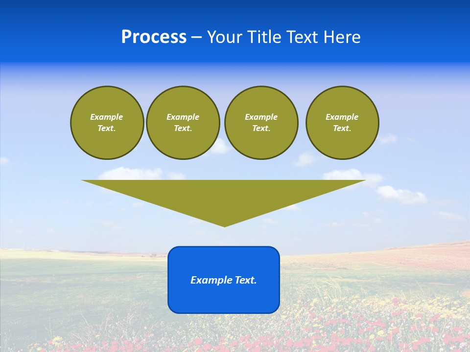 Poppy Spring Wheat PowerPoint Template