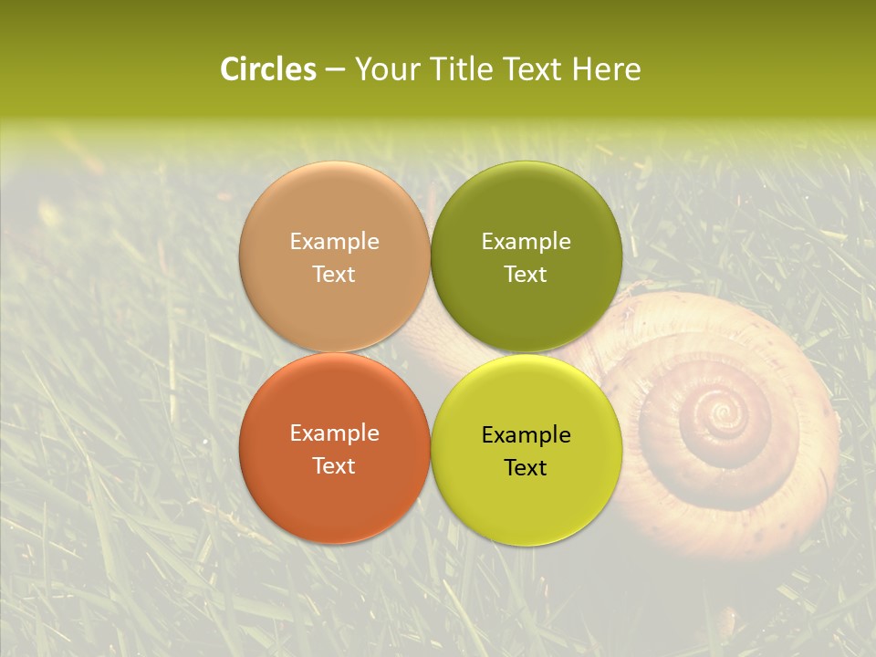 Decelerate Slowly Move PowerPoint Template