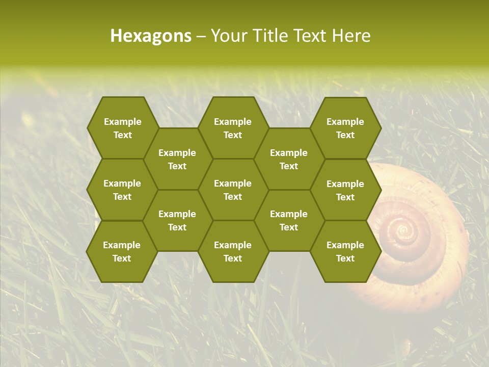 Decelerate Slowly Move PowerPoint Template