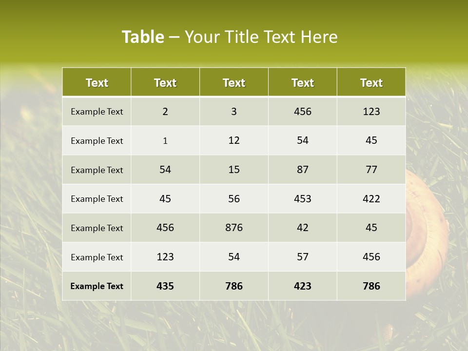 Decelerate Slowly Move PowerPoint Template