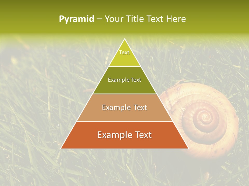 Decelerate Slowly Move PowerPoint Template