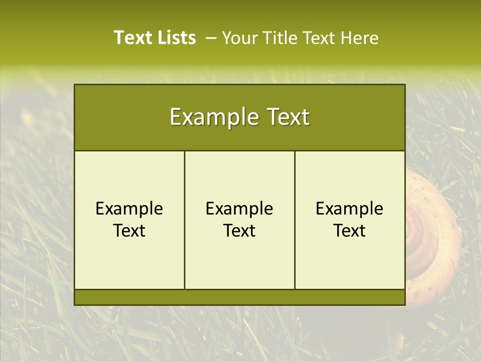 Decelerate Slowly Move PowerPoint Template