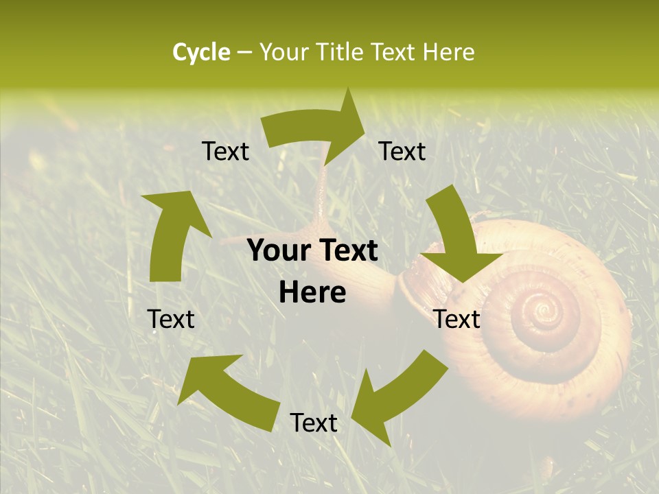 Decelerate Slowly Move PowerPoint Template