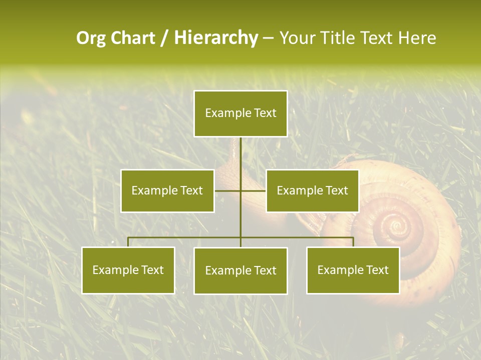 Decelerate Slowly Move PowerPoint Template