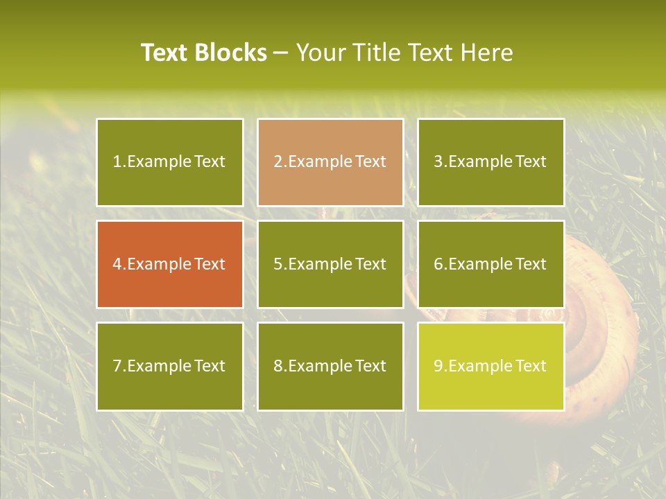 Decelerate Slowly Move PowerPoint Template