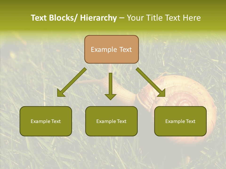 Decelerate Slowly Move PowerPoint Template