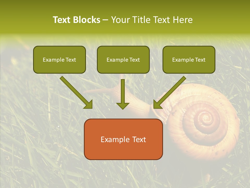 Decelerate Slowly Move PowerPoint Template