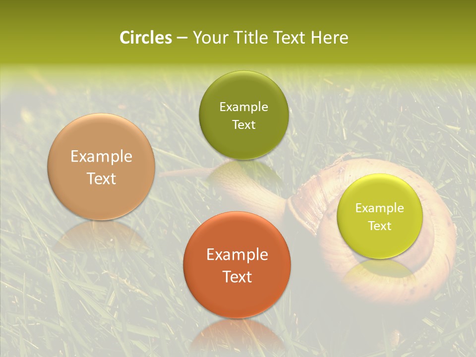 Decelerate Slowly Move PowerPoint Template