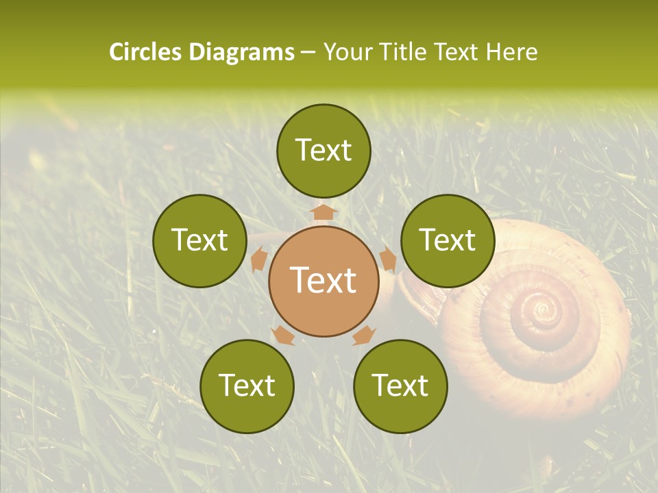 Decelerate Slowly Move PowerPoint Template